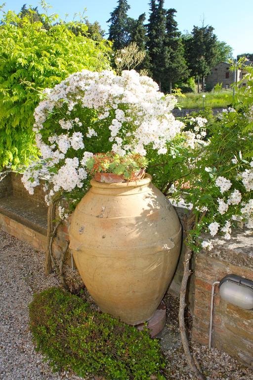 Relais Mastro Cinghiale Bed & Breakfast Paciano Dış mekan fotoğraf